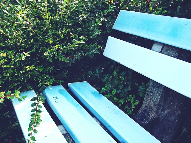 国际裁判引领中国篮球，公平竞争迈新步，未来更加光明.